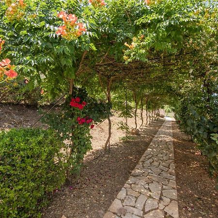 Agallis Corfu Residence Sokrákion エクステリア 写真