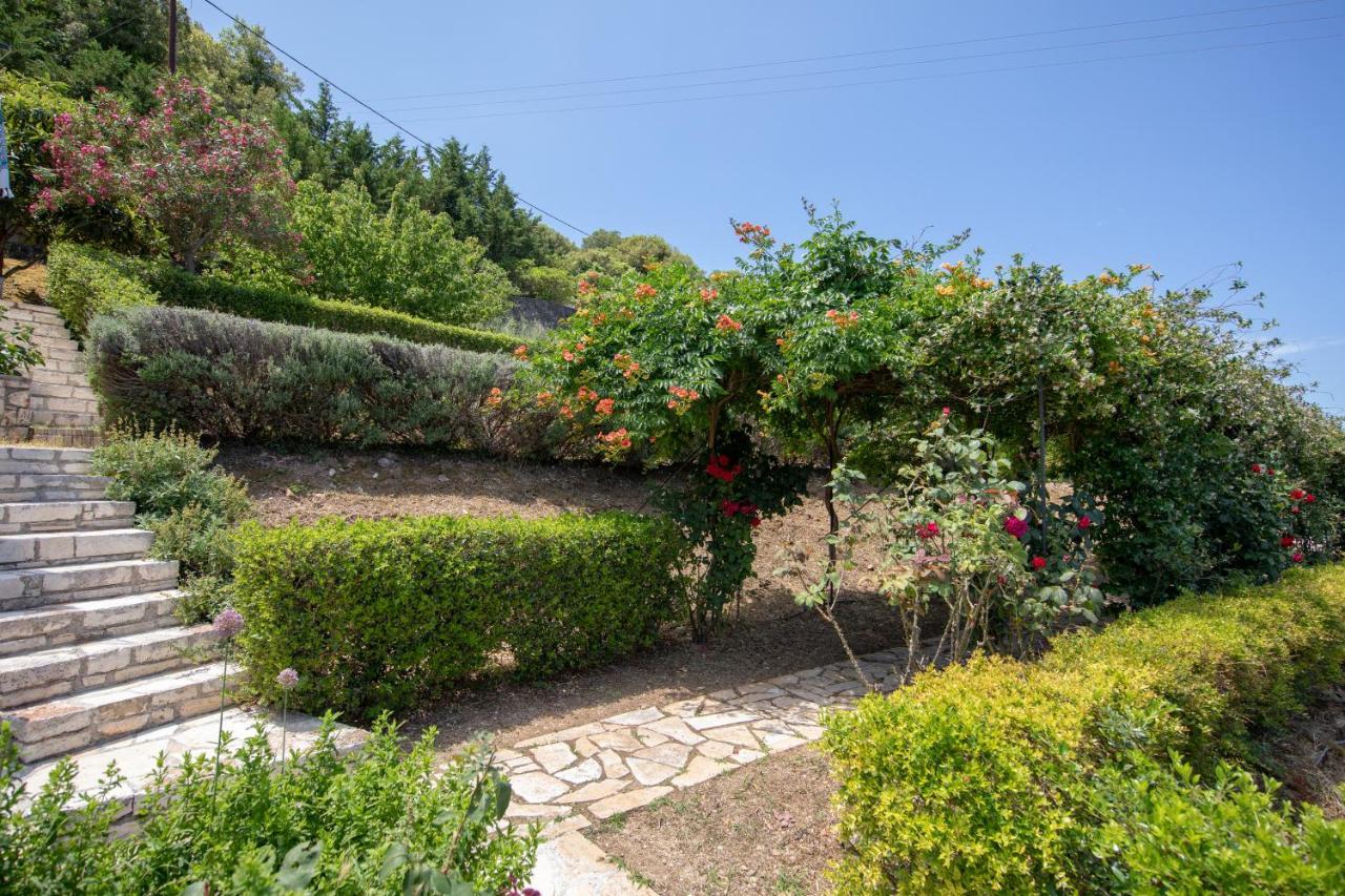 Agallis Corfu Residence Sokrákion エクステリア 写真