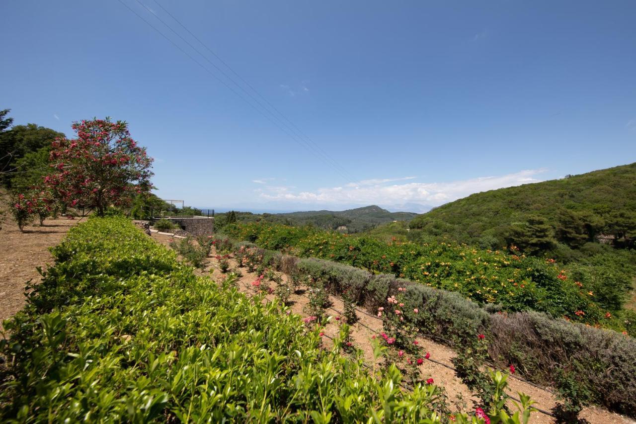 Agallis Corfu Residence Sokrákion エクステリア 写真