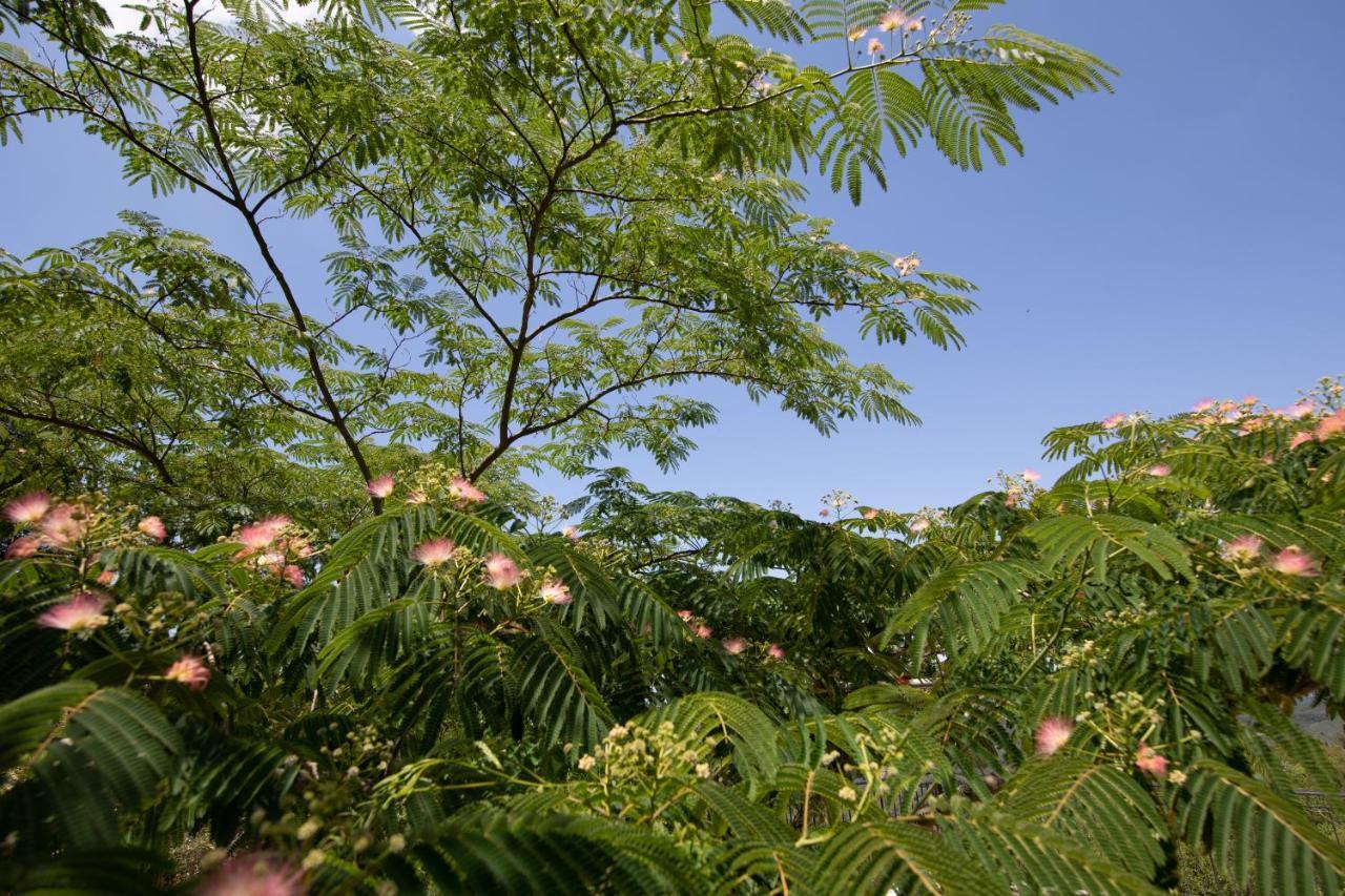 Agallis Corfu Residence Sokrákion エクステリア 写真